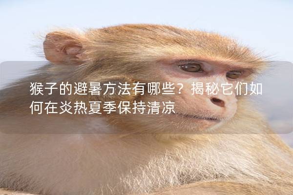 猴子的避暑方法有哪些？揭秘它們如何在炎熱夏季保持清涼